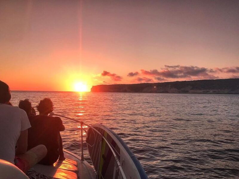 3-hour-boat-trip-at-sunset-with-the-sighting-delfini