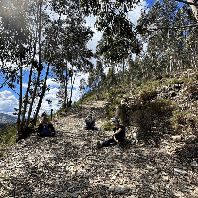 30-minutes-from-porto-waterfalls-hiking-and-picnic