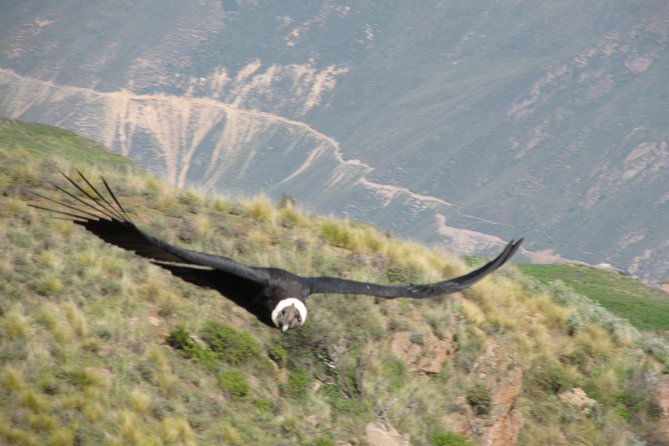 3days-colca-canyon-trek-3d-2n