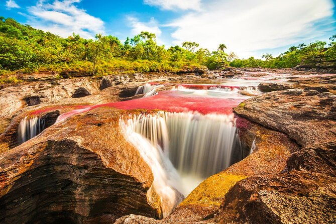 4-day-trip-to-cano-cristales-the-river-of-many-colors-and-the-jungle