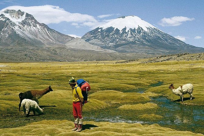 4-days-unique-experience-at-the-chilean-high-plateau