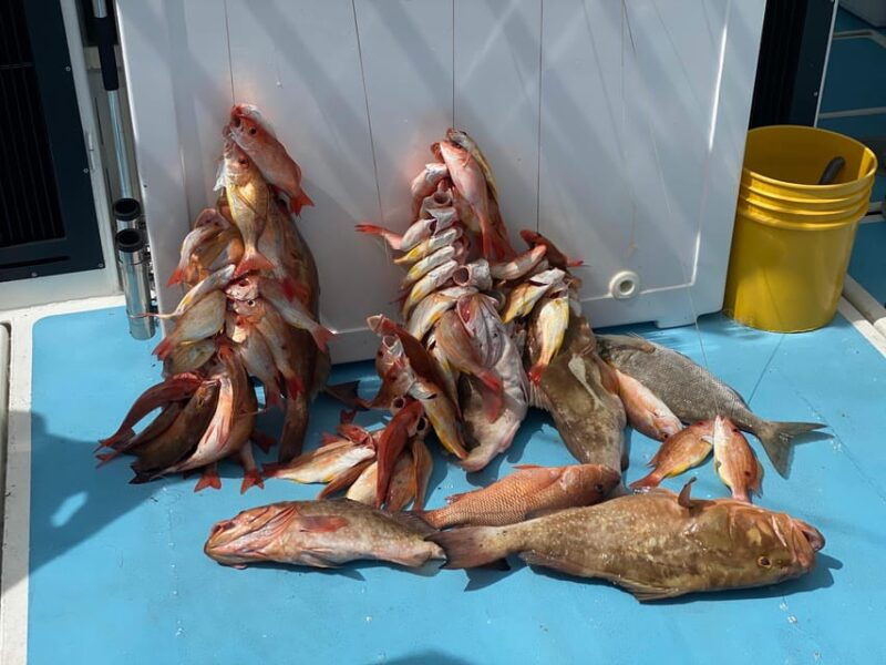 4-hour-deep-sea-fishing