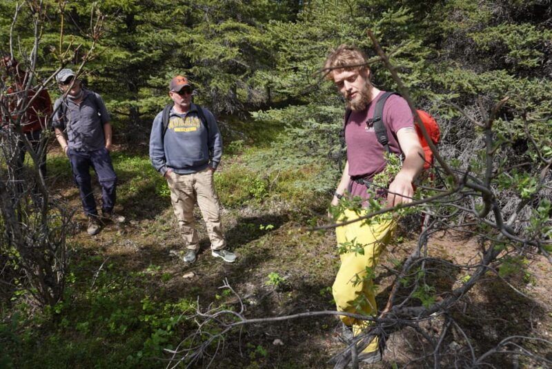 4-hour-off-trail-wilderness-wonders-tour-in-denali