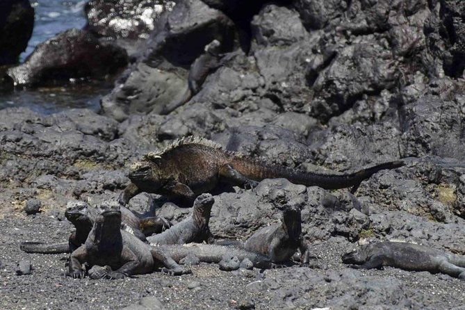5-days-galapagos-tour-santa-cruz-and-isabela-islands