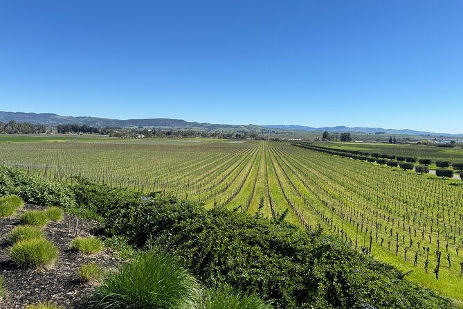 6-hour-custom-napa-or-sonoma-private-wine-tour