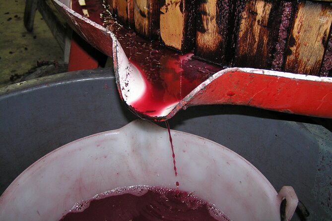 6-hour-sonoma-pinot-noir-and-or-zinfandel-wine-tasting-tour