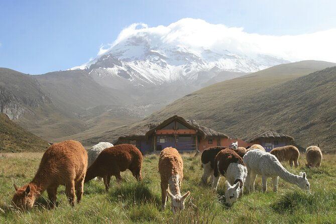 7-day-private-tour-of-the-best-places-in-the-andes-and-the-amazon