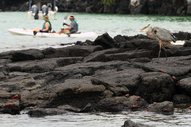8-day-full-pack-galapagos-multi-sport-adventure-4-5-island-tour