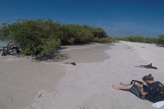 8-days-and-7-nights-private-tour-in-galapagos-islands
