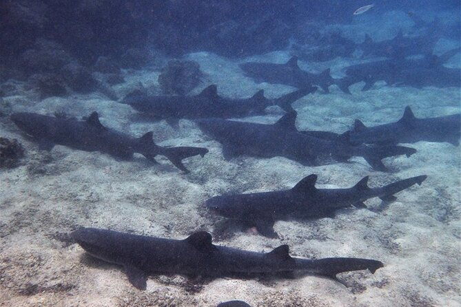9-days-galapagos-island-hopping
