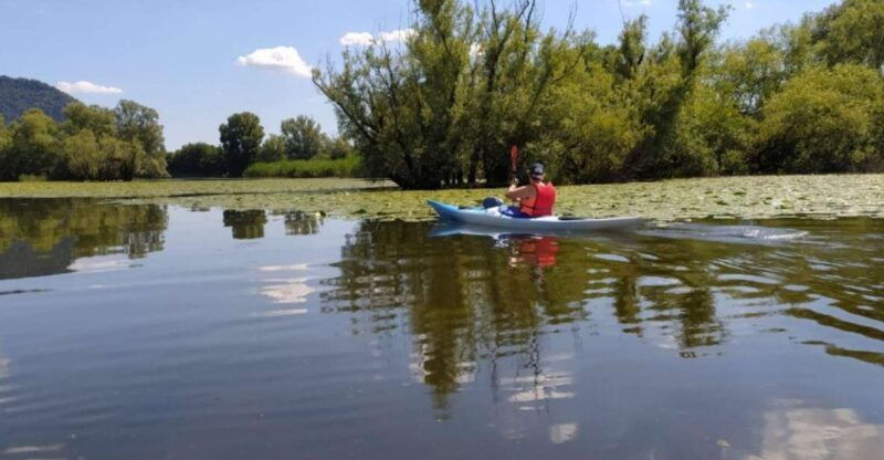 adda-river-half-day-kayak-trip