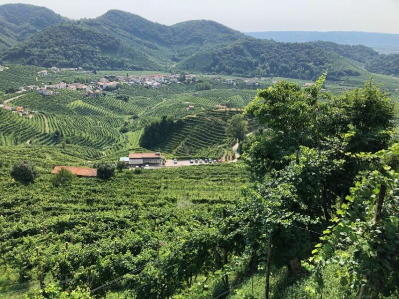 adventure-in-the-unesco-prosecco-hills-by-yellowboot