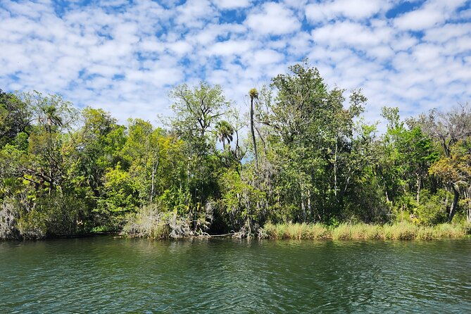 afternoon-crystal-river-ecological-boat-tour
