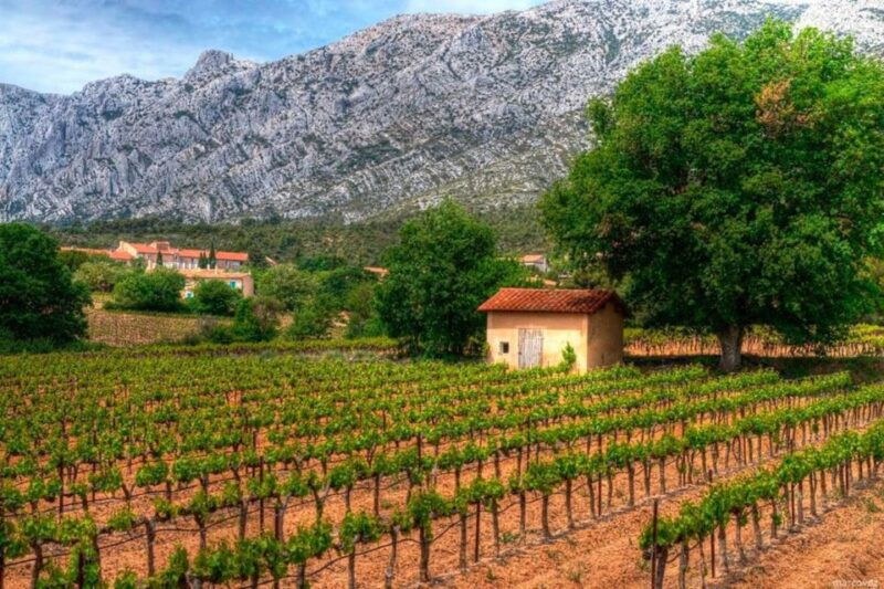 aix-hills-sainte-victoire-wine-tour-cezanne-mill-visit