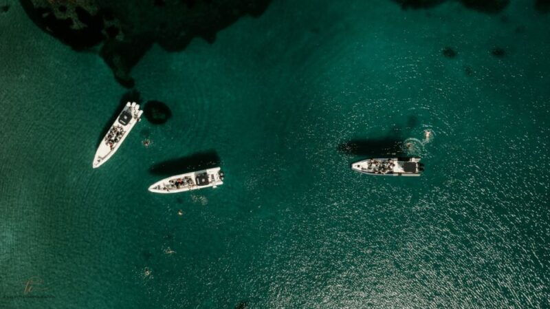 ajaccio-cruise-to-sanguinaires-islands-with-mezzu-mare-stop