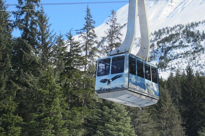 alaska-wildlife-center-and-turnagain-arm-tour-w-alyeska-tram