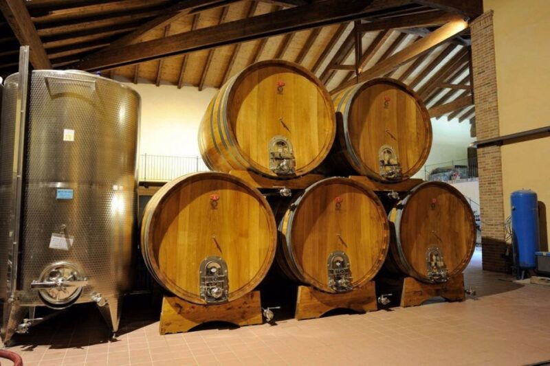 alba-e-bike-tour-with-wine-tastin-in-cellar
