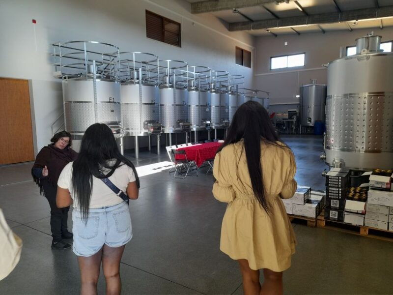 albufeira-algarve-coast-guided-tour-with-wine-tasting