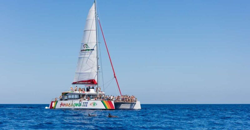 alcudia-sunset-catamaran-tour-with-dinner-and-snorkeling