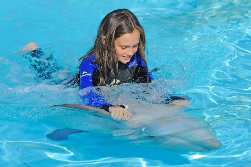 algarve-zoomarine-ticket-and-dolphin-emotions-experience