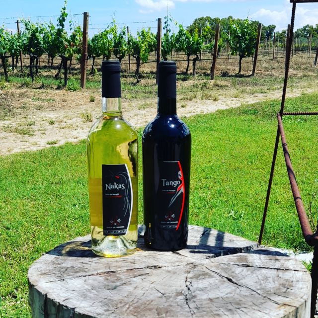 alghero-dinner-in-the-vineyard-with-wine