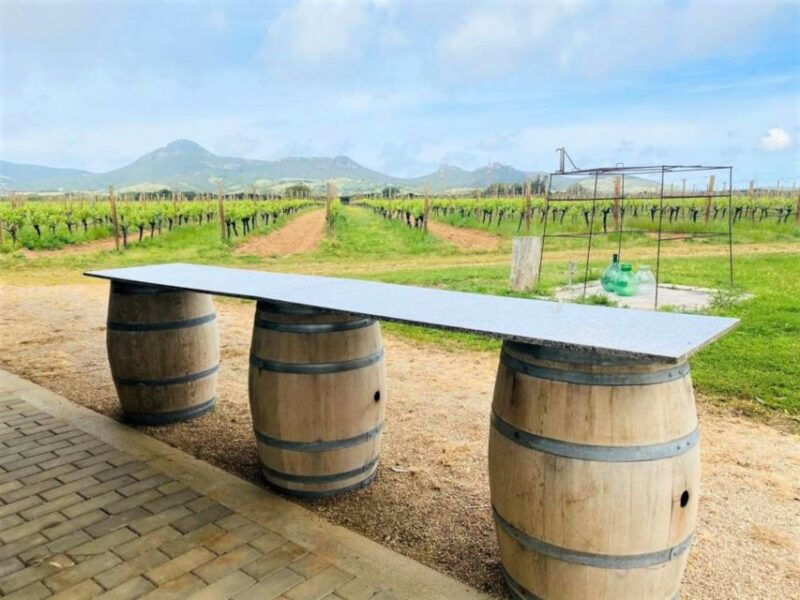 alghero-wine-tasting-w-local-aperitif-in-the-vineyard