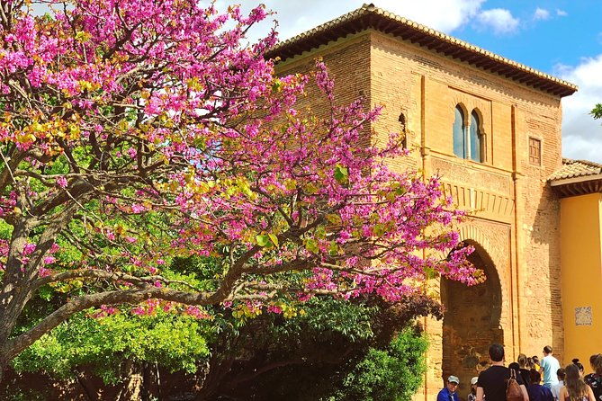 alhambra-semi-private-tour-with-skip-the-line-tickets