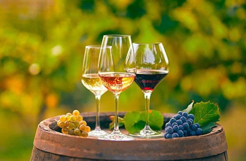 alicante-old-winery-tour-wine-tasting-including-transfer