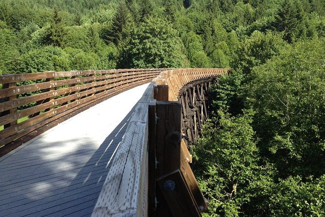 all-day-northern-oregon-wineries-and-forest-bike-tour
