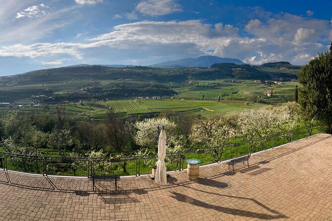 amarone-wine-tasting-from-verona