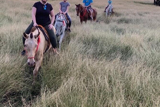 amazing-horseback-riding-in-the-tropical-forest