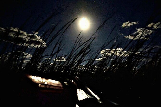 amelia-full-moon-paddle-at-talbot-islands-state-park