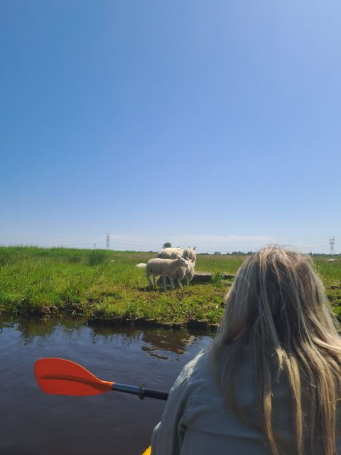 amsterdam-countryside-bike-and-kayak-guided-tour