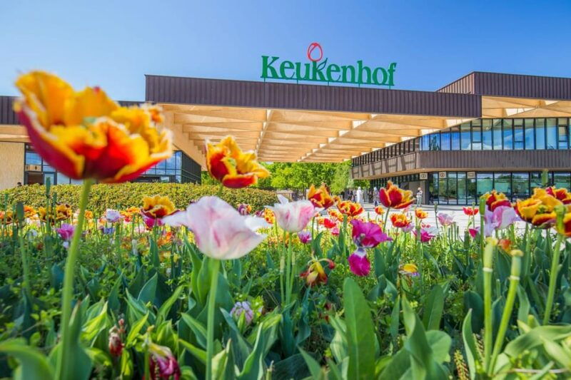 amsterdam-keukenhof-lunch-in-leiden-windmill-cruise-tour