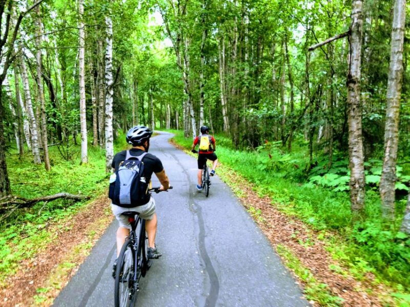 anchorage-coastal-trail-3-hour-city-bike-tour