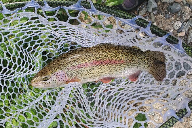 anchorage-guided-fly-fishing