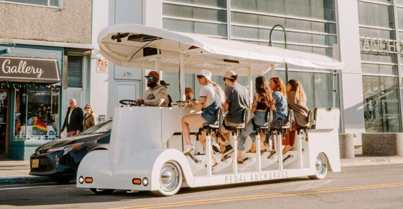 anchorage-tour-on-a-unique-14-passenger-electric-vehicle