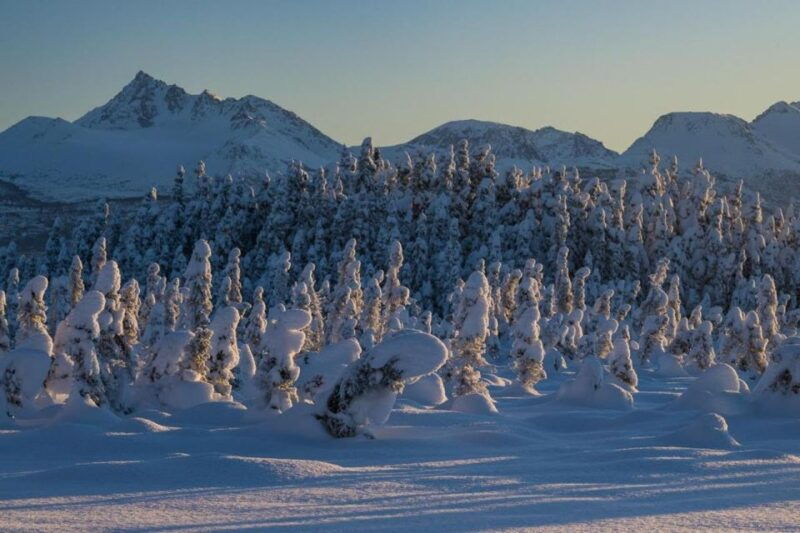 anchorage-winter-wonderland-photo-tour