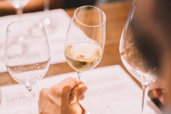 andalusian-wine-tasting-in-cala-de-mijas-4-top-wines-tapas