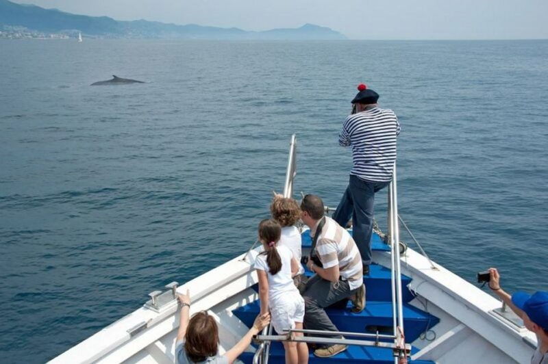 aquarium-of-genoa-ticket-and-whale-watching-cruise