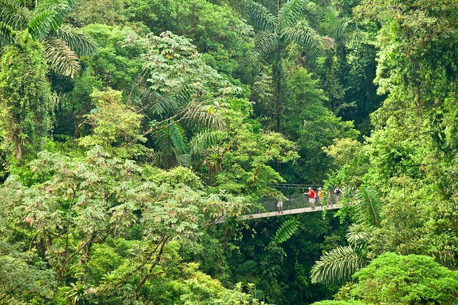 arenal-tickets-volcano-waterfall-hanging-bridges-selfguide