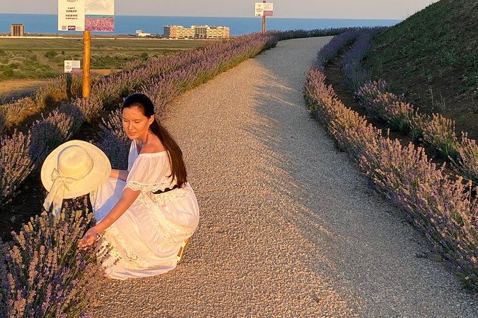 aroma-sampling-of-5-bulgarian-lavender-varieties-at-dives-winery
