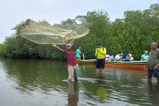 artisanal-canoe-tour-in-the-mangrove-with-afro-caribbean-dance