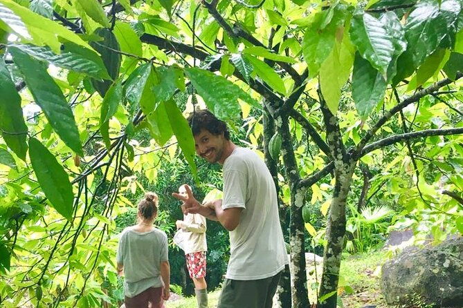 artisanal-chocolate-from-the-garden-to-the-table