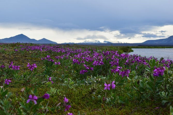 askja-the-caldera-my-favorite-day-tour