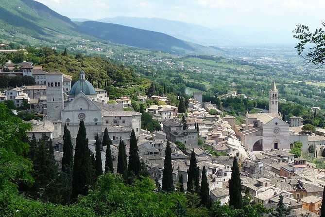 assisi-deruta-organic-gourmet-lunch-at-the-olive-oil-farmhouse-from-siena