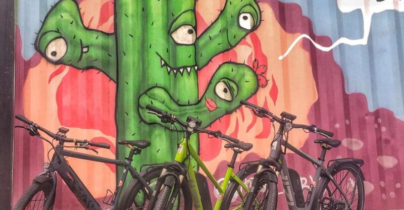 austin-electric-bike-city-sightseeing-tour