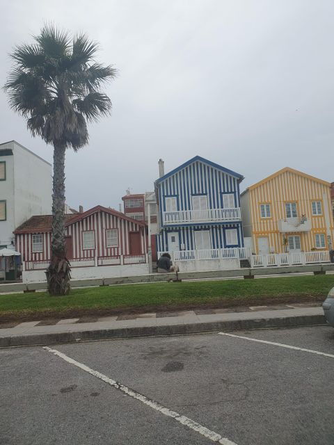 aveiro-and-coimbra-day-trip-from-porto