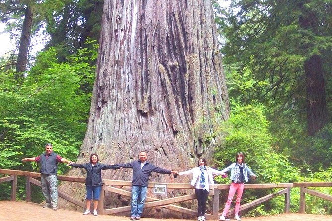 avenue-of-the-giant-redwood-private-1-day-tour-from-san-francisco