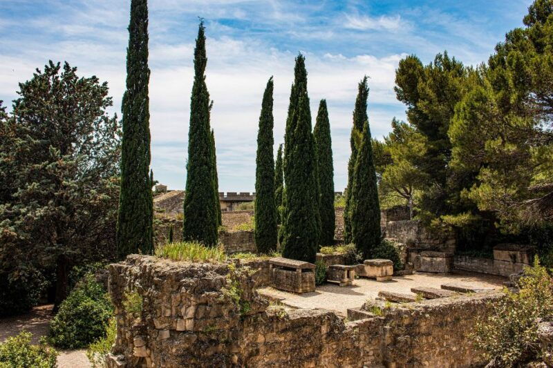 avignon-private-guided-tour-and-wine-tastings-from-marseille